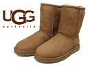 訳あり品 アグ クラシック ショート 5825 女性用 茶チェスナット 22.0cm US5.0 UGG AUSTRALIA CLASSIC SHORT CHESTNUT (ug478)