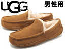 AO JV AXRbg M Y UGG M ASCOT 1101110 jp JVV[Y `FXibg (01-12628094)