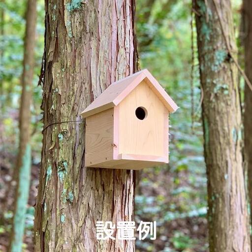 鳥の巣箱 夏休み 工作キット 自由工