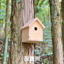 鳥の巣箱 夏休み 工作キット 自由工作 自由研究 手作り 工作 低学年 高学年 小学校 木工 野鳥 観察 送料無料 東濃ヒノキ ver.2020 日時指定・代引き利用不可【お買い物マラソン協賛ポイント最大45.5倍】