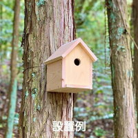 鳥の巣箱 夏休み 工作キット 自由工作 自由研究 手作り 工作 低学年 高学年 小学校...