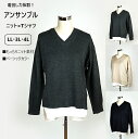 大きいサイズあり 2点セット ニット×Tシャツアンサンブル 着回し（LL～4L）チャコールグレー系・ベージュ系・ブラック系 3色