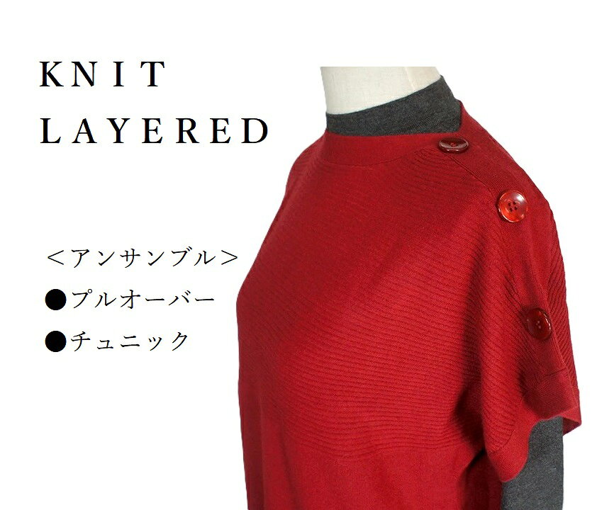 【衝撃！処分価格！お買い物マラソンSALE】＜2点セット＞重ね着スタイル なめらかリッチ・ニットアップチュニックワンピース（M）バーガンディ style-cafe-10068093 Style Cafe サンプル画像2