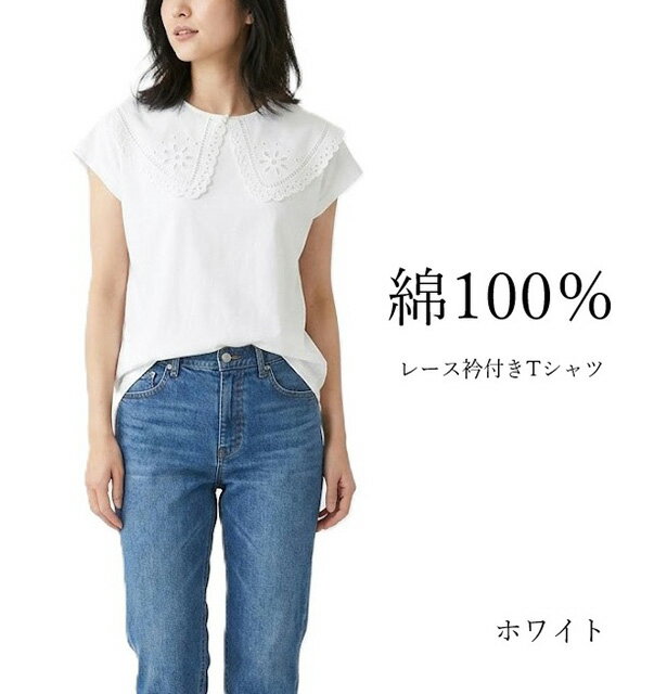 Rakuten - レース衿付きTシャツ （L・LL）ホワイト【春夏】綿100％(本体) フレンチスリーブ付け襟 ビッグカラー 半袖 カットソー