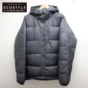 patagonia パタゴニア 【新品同様】84580 Fitz Roy Down Hoody フィ ...