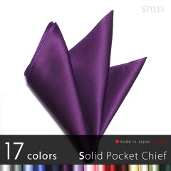 https://thumbnail.image.rakuten.co.jp/@0_mall/style-equal/cabinet/chief/tm-chief-j-purple.jpg