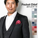 【ポスト投函便送料無料】 ポケットチーフ 4WAY シルク100% メンズ 結婚式 フォーマル シルク ドット 千鳥 ペイズリー 花 柄 グリーン レッド ブル...