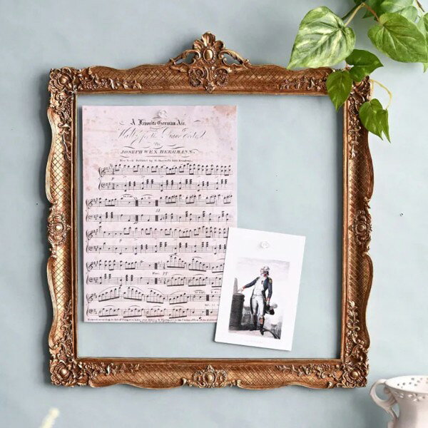 ������������� �����륵���� �ե졼�� �� �������� ������� �۱� �ɳݤ� ������Ĵ ����ӡ����å� (1559) ������� ���饷�å� ������Ĵ ɱ�� �ե����ƥ����� Ź������ ����ӡ�