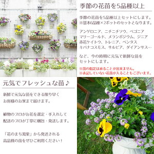アピール2