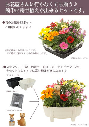 セット内容