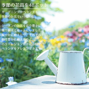 アピール1