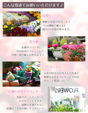用途