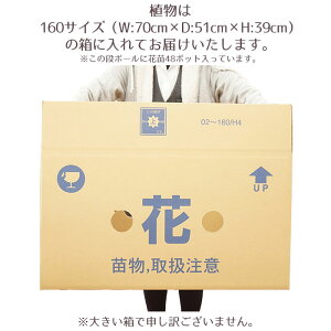 梱包2