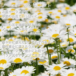 アピール