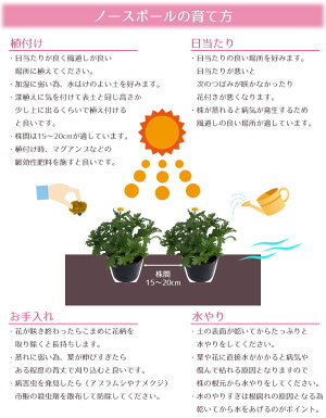 育て方