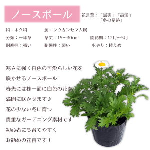 商品説明