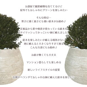 説明