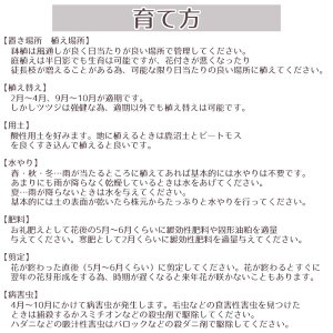 育て方