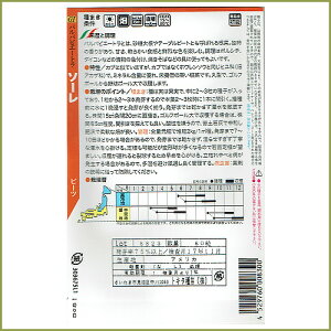 野菜のタネソーレ(ビート)イタリアの珍しい種を送料無料でお届け!!