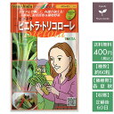 野菜のタネ　ビエトラ・トリコローレ ふだんそう・スイスチャード 　イタリアの珍しい種を送料無料でお届け!! 種子 Gusto