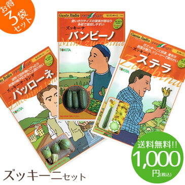 【1000円ポッキリ】野菜のタネ　ズッキーニセット　イタリアの珍しい野菜のタネ3種類を送料無料でお届け!!