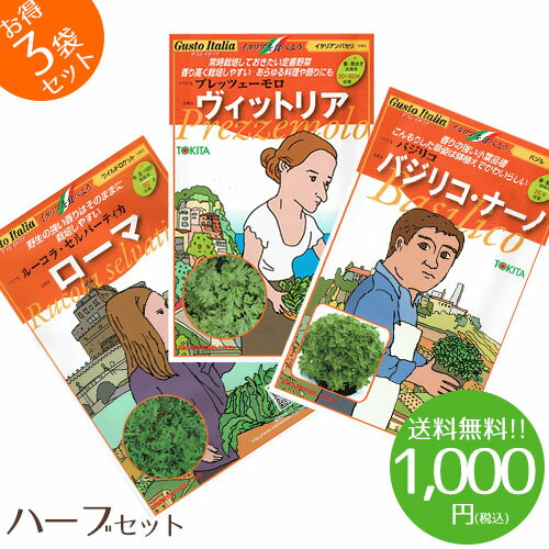 【1000円ポッキリ】野菜のタネ　クッキングハーブセット　イタリアの珍しい野菜のタネ3種類を送料無料でお届け!!