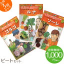 【1000円ポッキリ】野菜のタネ ビートセット イタリアの珍しい野菜のタネ3種類を送料無料でお届け!!