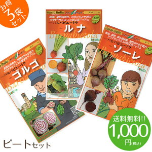 【1000円ポッキリ】野菜のタネ　ビートセット　イタリアの珍しい野菜のタネ3種類を送料無料でお届け!!