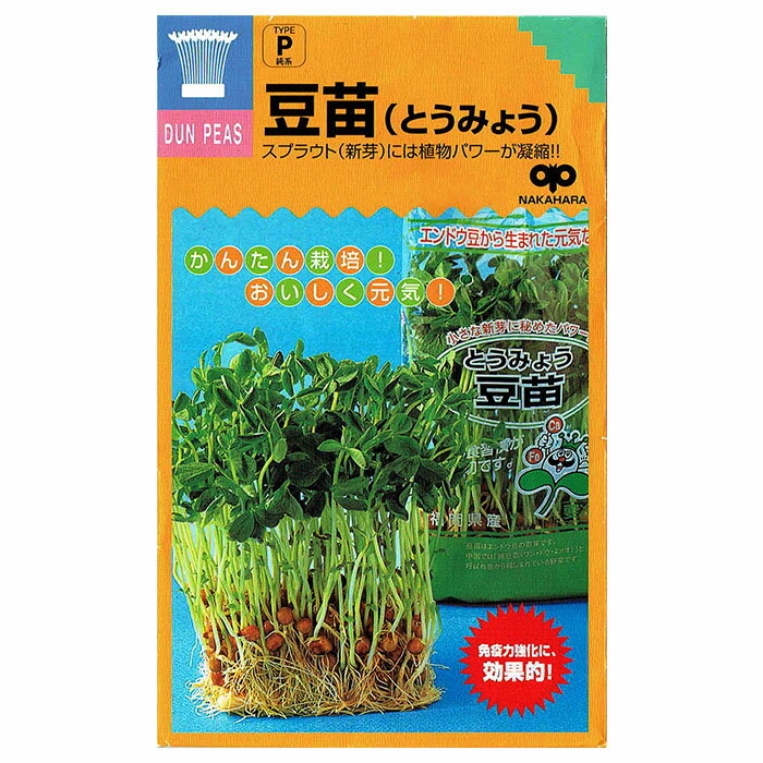 スプラウト 種 豆苗（とうみょう） 話題のタネを送料無料でご自宅までお届け！のサムネイル