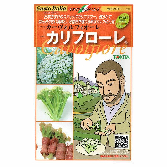 野菜のタネ　カリフローレ（カリフラワー）　イタリアの珍しい種を送料無料でお届け!!