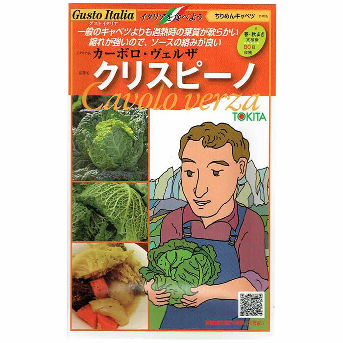 野菜のタネ　クリスピーノ（キャベツ）　イタリアの珍しい種を送料無料でお届け!!
