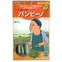 野菜のタネ バンビーノ(ズッキーニ) イタリアの珍しい種を送料無料でお届け!!