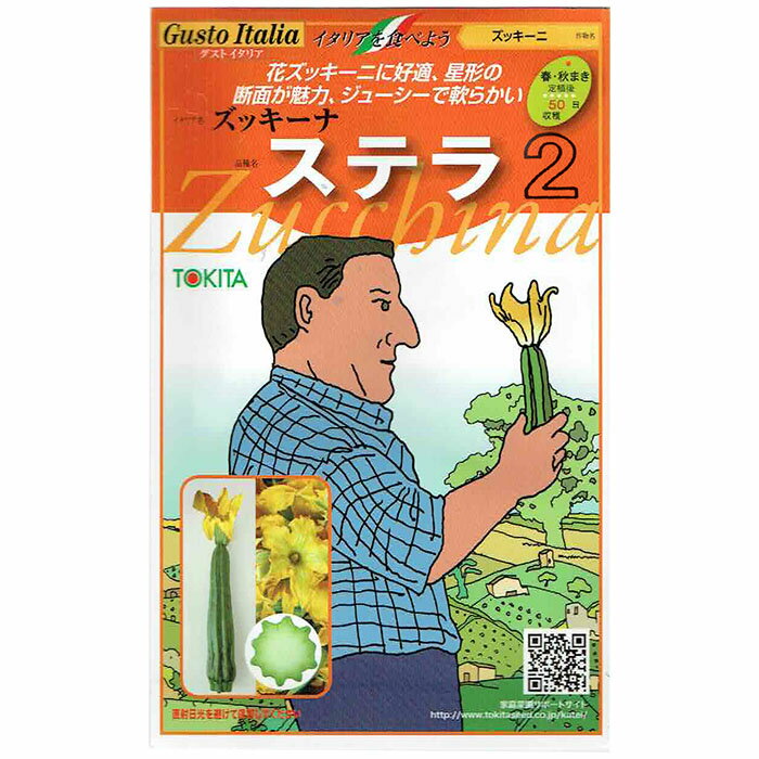野菜のタネ　ステラ2（ズッキーニ）　イタリアの珍しい種を送料無料でお届け!!のサムネイル