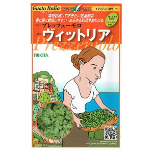 野菜のタネ　ヴィットリア（イタリアンパセリ）　イタリアの珍しい種を送料無料でお届け!!