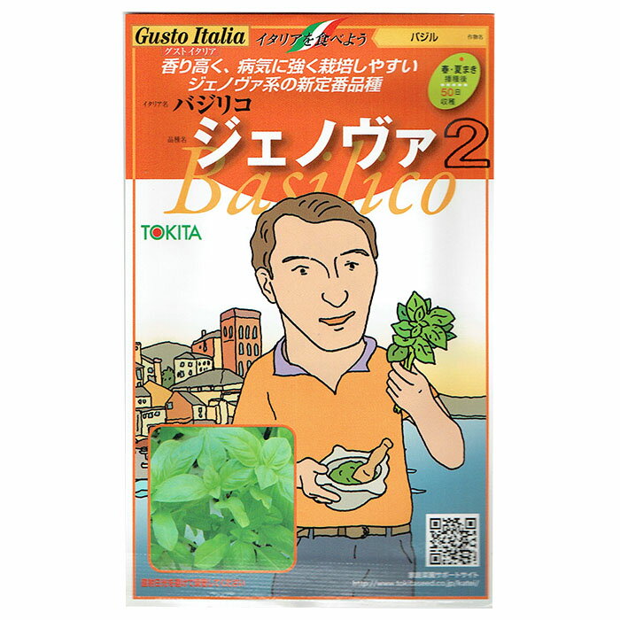 野菜のタネ　ジェノバ2（バジル）　イタリアの珍しい種を送料無料でお届け!!
