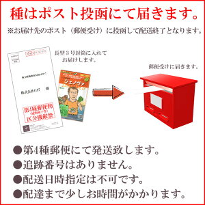 ポスト投函