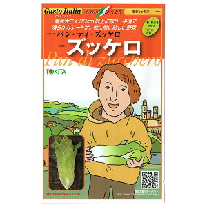 野菜のタネ　ズッケロ（ラディキオ）　イタリアの珍しい種を送料無料でお届け!!