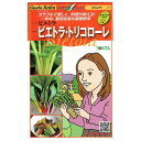 野菜のタネ ビエトラ・トリコローレ(ふだんそう・スイスチャード) イタリアの珍しい種を送料無料でお届け!!