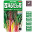 野菜の種 実咲野菜2883 西洋ふだん草(スイスチャード)アイデアル サカタのタネ 400円