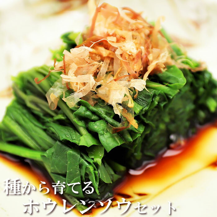 野菜の種　種から育てる　ほうれん草セット サカタのタネ