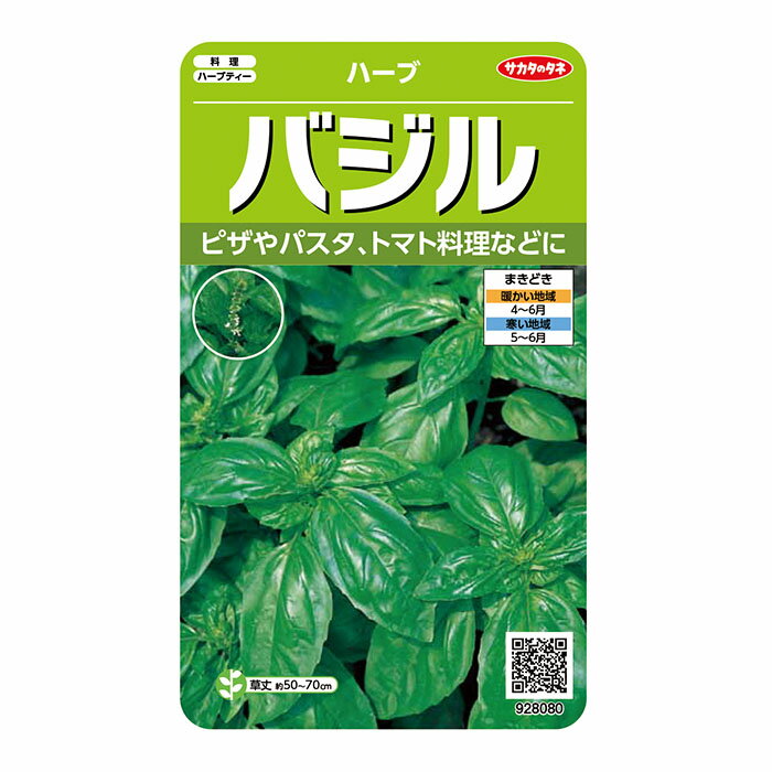 野菜の種　実咲ハーブ8080 ハーブ バジル サカタのタネ