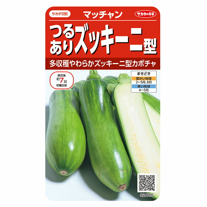 野菜の種　実咲野菜1005 つるありズッキーニ マッチャン サカタのタネのサムネイル