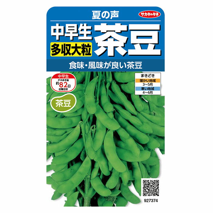 野菜の種　実咲野菜737