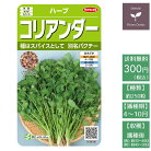 野菜の種実咲ハーブ8090ハーブコリアンダー（パクチー）