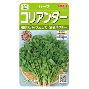 野菜の種　実咲ハーブ8090 ハーブ コリアンダー（パクチー） サカタのタネ