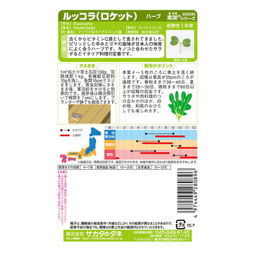 野菜の種 実咲ハーブ8089 ハーブ ルッコラ(ロケット)