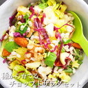 野菜の種 種から育てる チョップドサラダセット(春) サカタのタネ