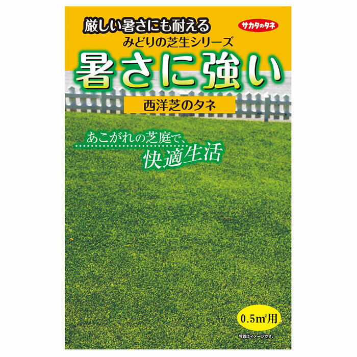 芝の種　ケンタッキーブルーグラス　サンビーム　緑化用　1kg　法面保護用