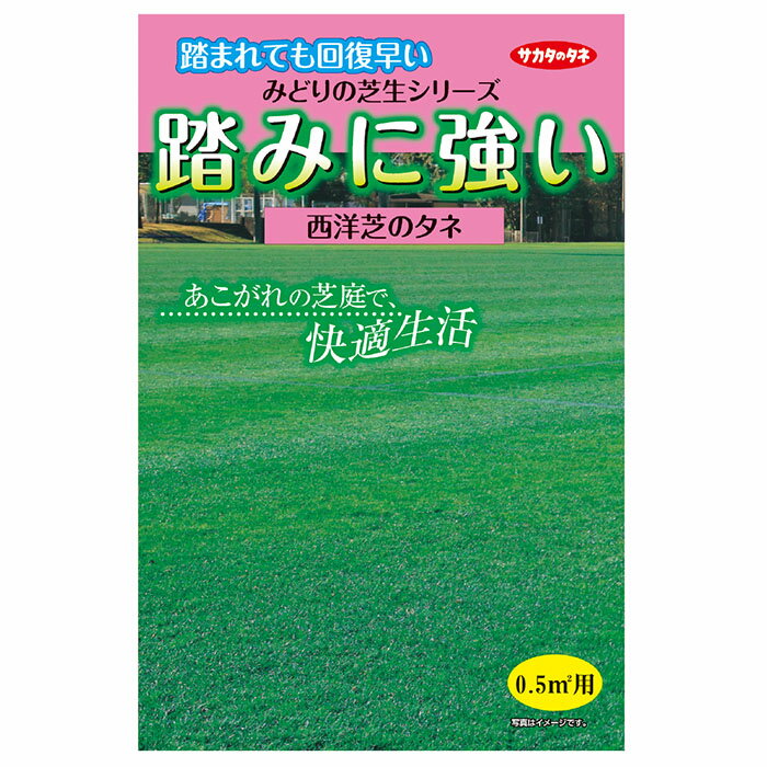 西洋芝の種　踏みに強い芝生0.5平米用 サカタのタネ