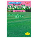 西洋芝の種　踏みに強い芝生0.5平米用 サカタのタネ